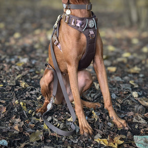 4ft Waterproof Lead - Walkies Ready® Chocolate Brown