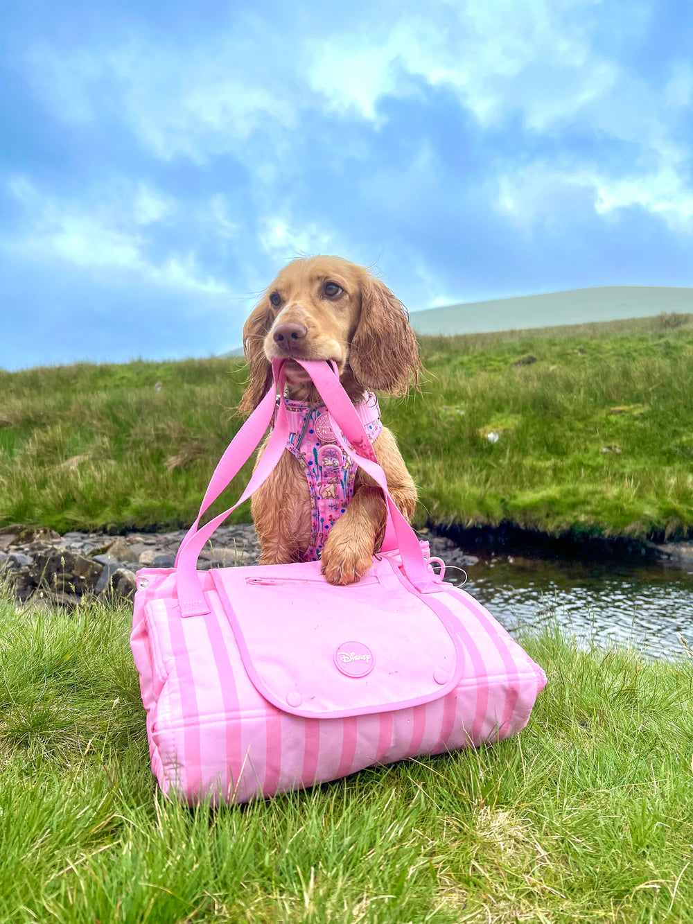 Disney© Travel Mat - Nala