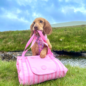 Disney© Travel Mat - Nala