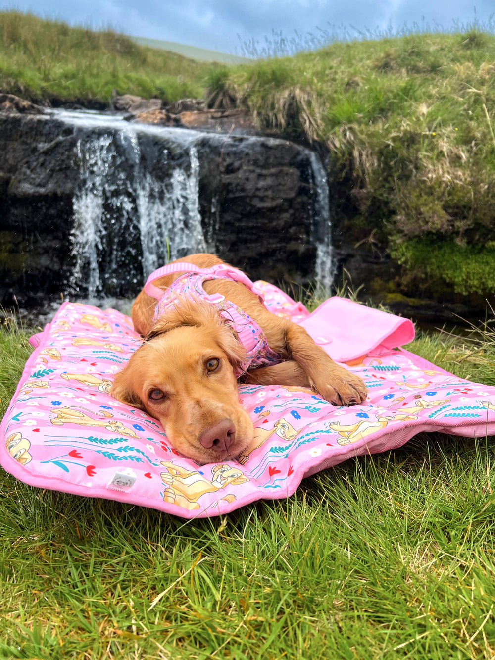 Disney© Travel Mat - Nala