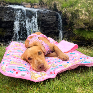 Disney© Travel Mat - Nala