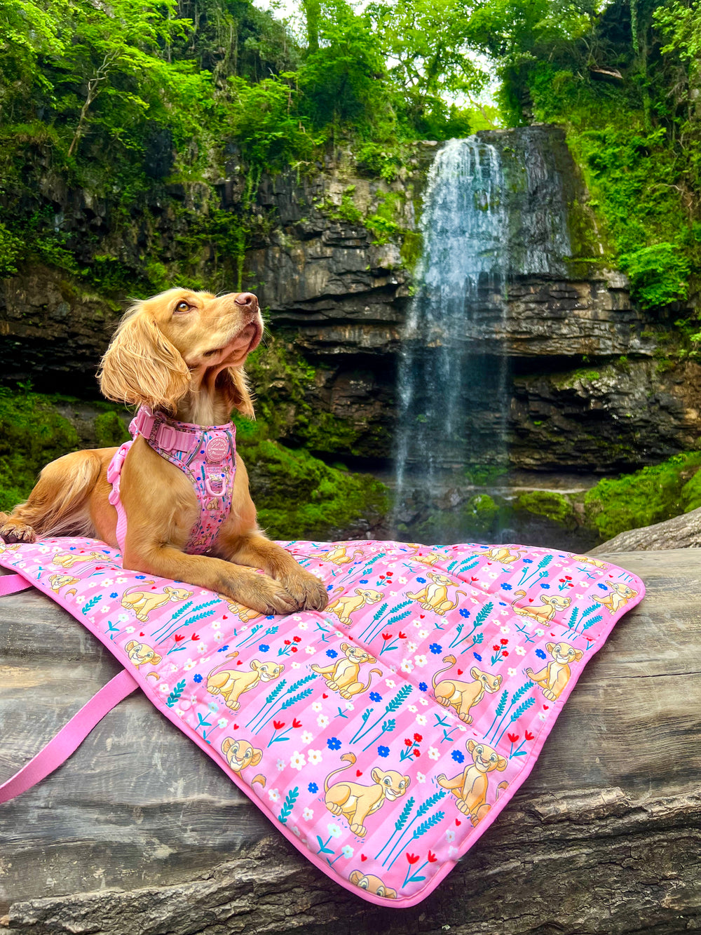 Disney© Travel Mat - Nala