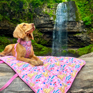 Disney© Travel Mat - Nala