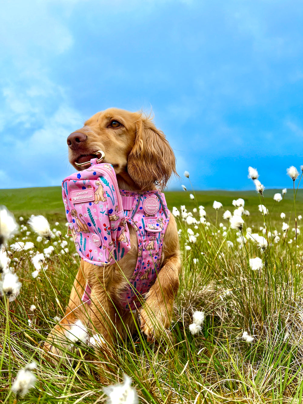 Disney© Treat + Go Bag - Nala