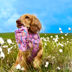 Disney© Treat + Go Bag - Nala