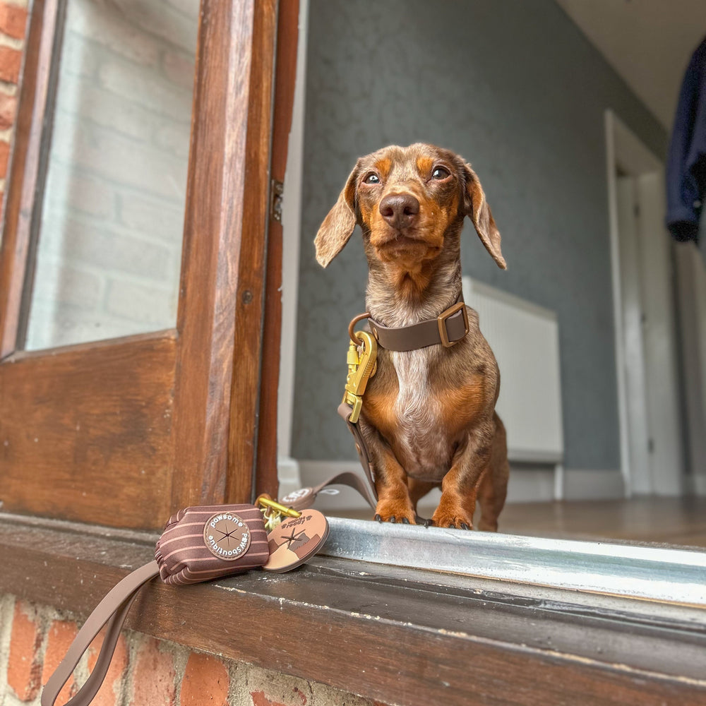 Pawsome Poop Pocket - Walkies Ready® - Chocolate Brown