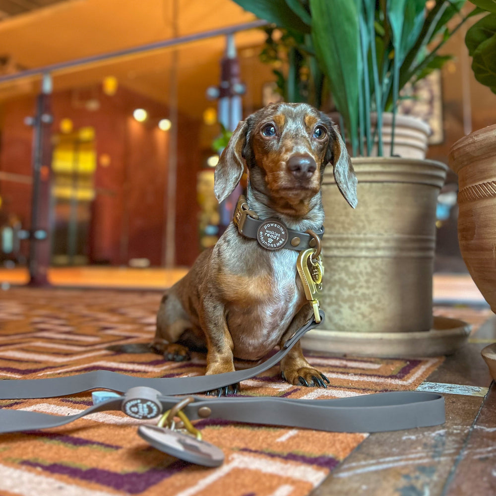 4ft Waterproof Lead - Walkies Ready® Chocolate Brown