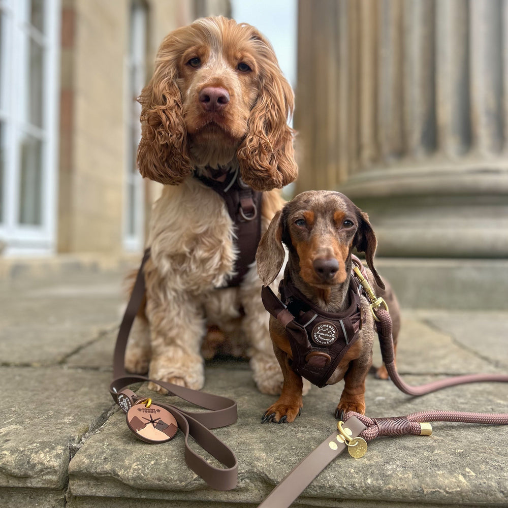 Pawsome Poop Pocket - Walkies Ready® - Chocolate Brown