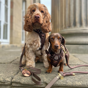 Pawsome Poop Pocket - Walkies Ready® - Chocolate Brown