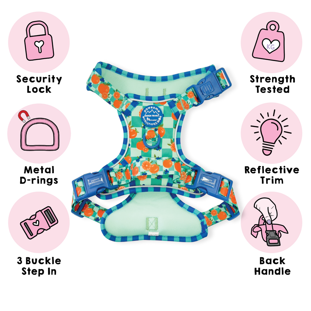 Tough Trails™ Harness -  Fruit Punch