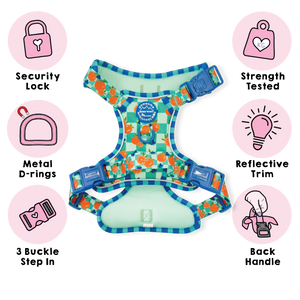 Tough Trails™ Harness -  Fruit Punch