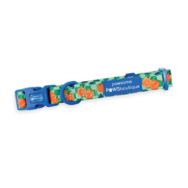 Collar - Fruit Punch