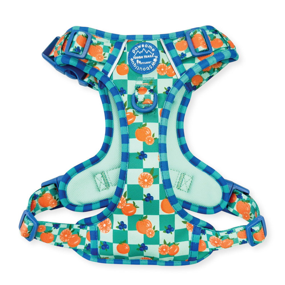 Tough Trails™ Harness -  Fruit Punch