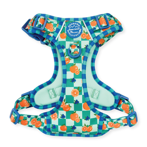 Tough Trails™ Harness -  Fruit Punch