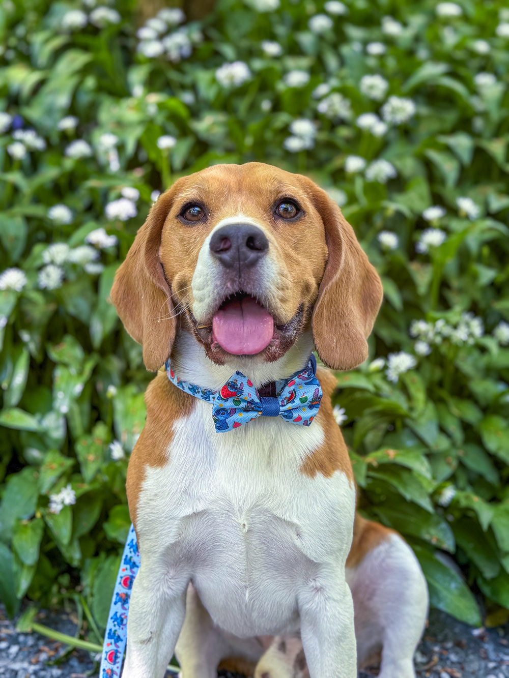 Disney© Bow Tie - Stitch's Fruit Fiesta