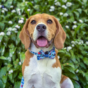 Disney© Bow Tie - Stitch's Fruit Fiesta