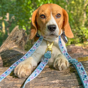 Disney© Lead - Stitch's Slumber Party