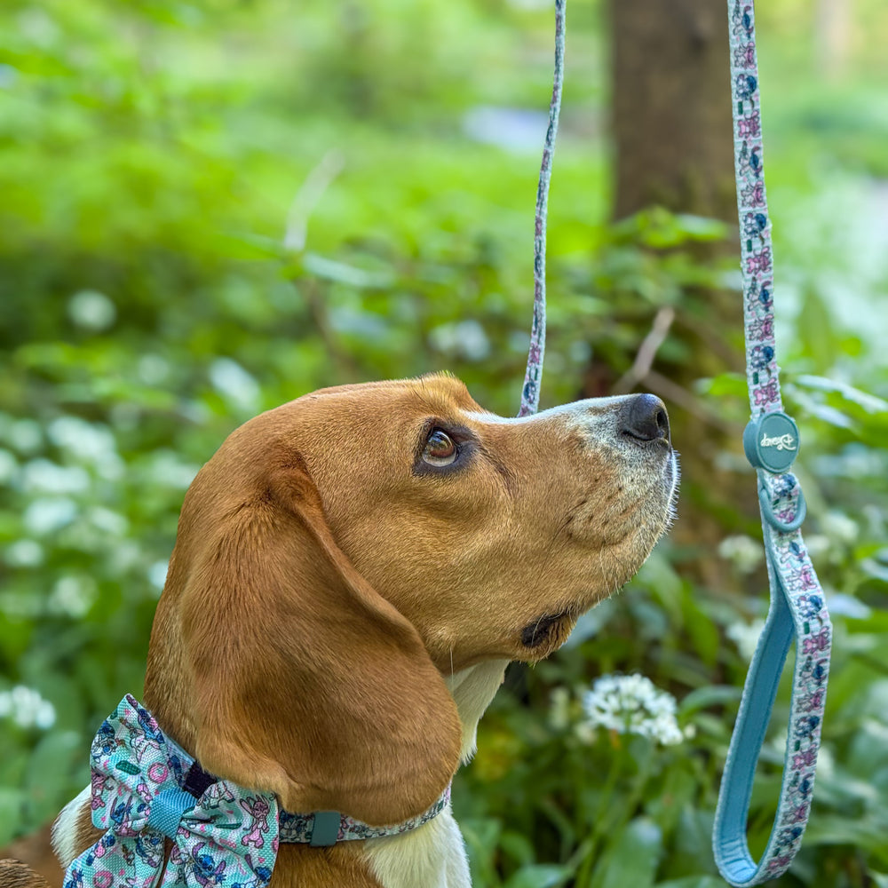 Disney© Lead - Stitch's Slumber Party