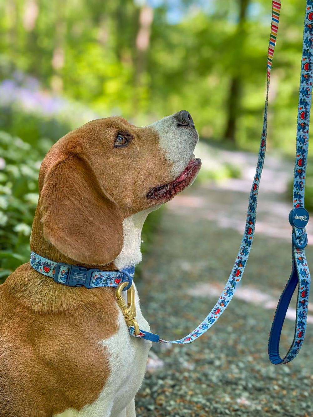 Disney© Lead - Stitch's Fruit Fiesta