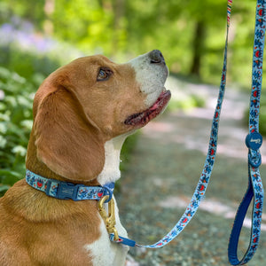 Disney© Lead - Stitch's Fruit Fiesta