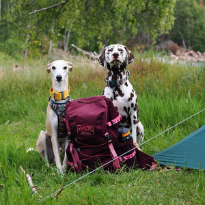 Walkies Ready® Hiking Backpack