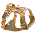 Slinky Ultimate Bundle