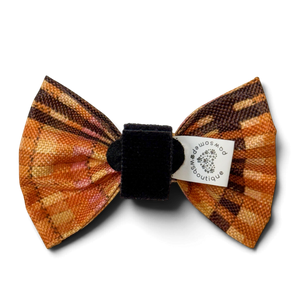 Bow Tie - Golden Acre