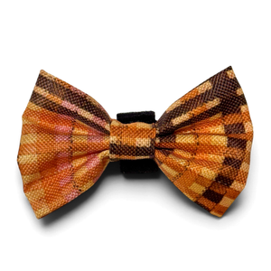 Bow Tie - Golden Acre
