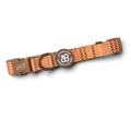 Golden Acre Ultimate Bundle