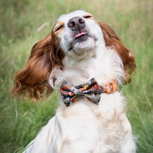 Bow Tie - Rust & Bloom