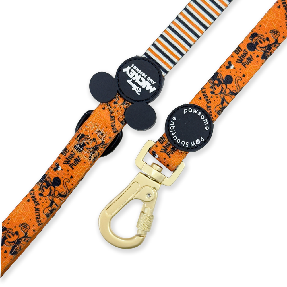Disney© Lead - Halloween