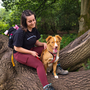 Walkies Ready® Leggings - Mulberry
