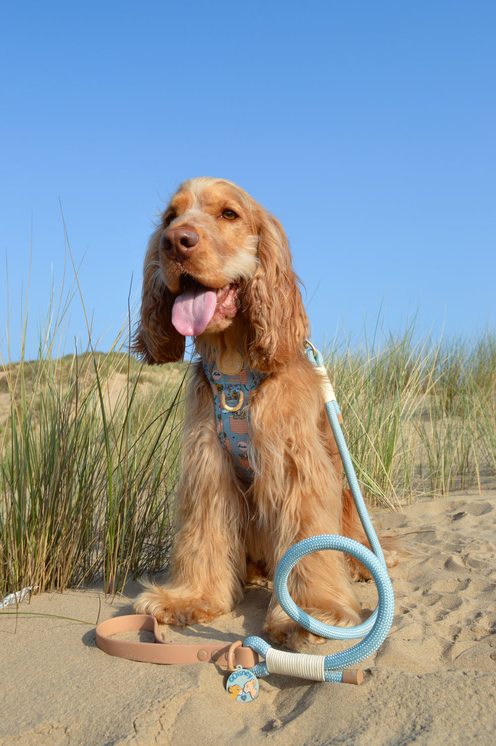 Disney© 4ft Rope Lead - Lion Friends - Sage and Mustard