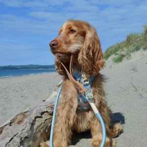 Disney© 4ft Rope Lead - Lion Friends - Sage and Mustard