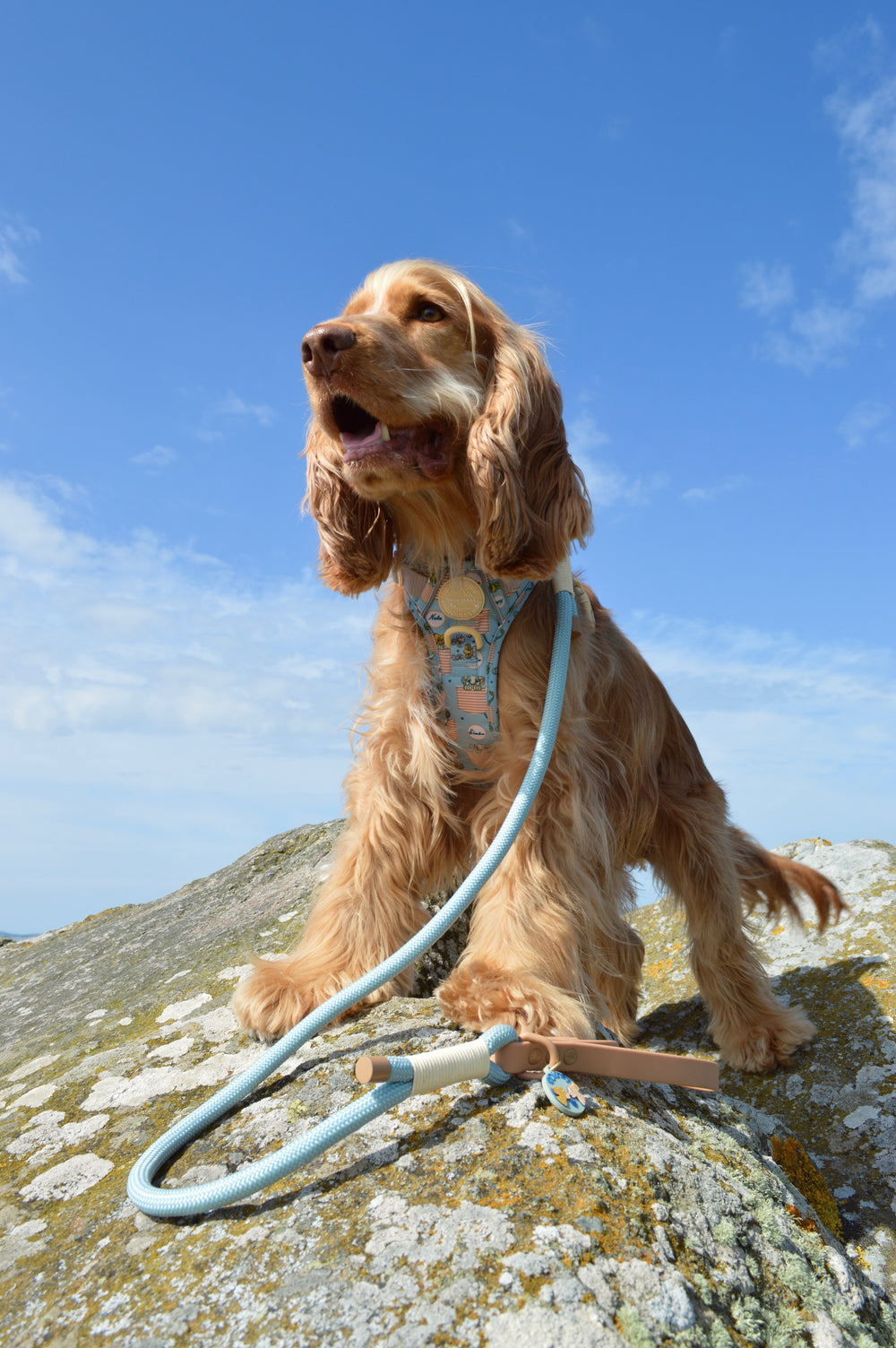 Disney© 4ft Rope Lead - Lion Friends - Sage and Mustard