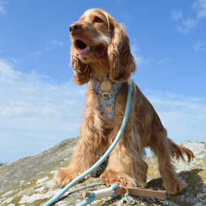 Disney© 4ft Rope Lead - Lion Friends - Sage and Mustard