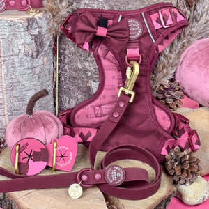 4ft Waterproof Lead - Walkies Ready® Mulberry