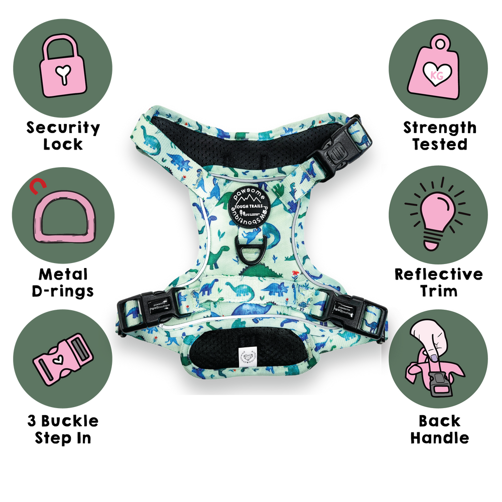 Tough Trails™ Harness - Dinky Dino