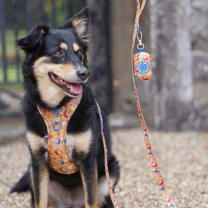 Poo Bag Holder - Celestial Spirit