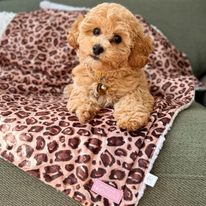 Dog Blanket -  Leopard Print