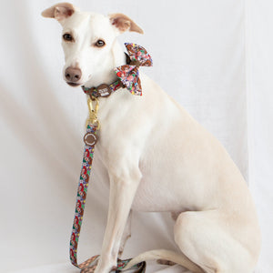 Disney© Lead - Toy Story Friends