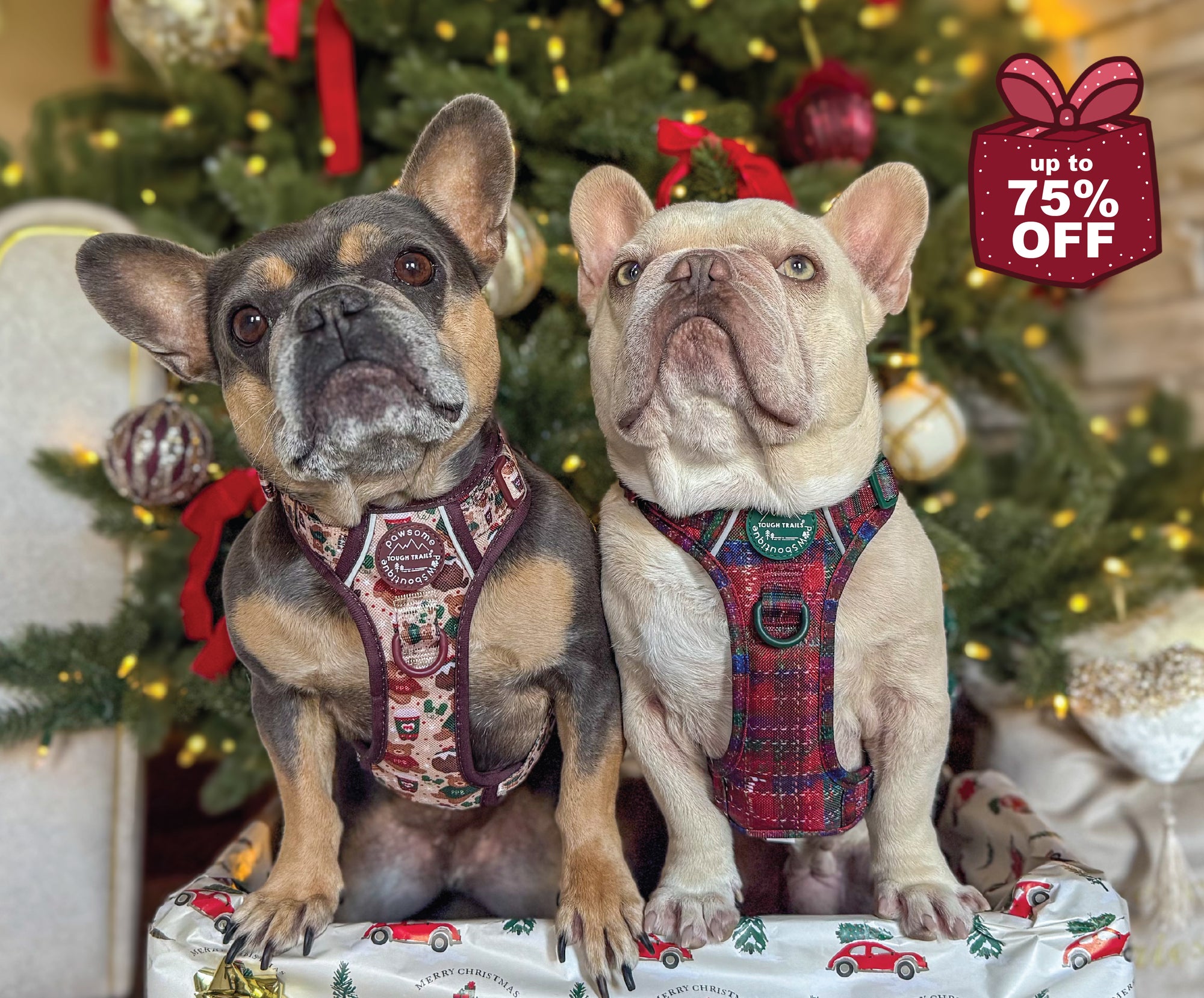 BOXING DAY SALE-image