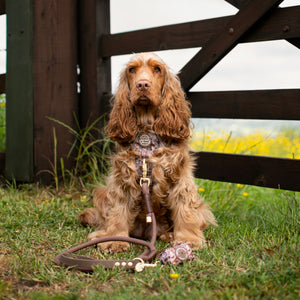 4ft Rope Lead - Brown