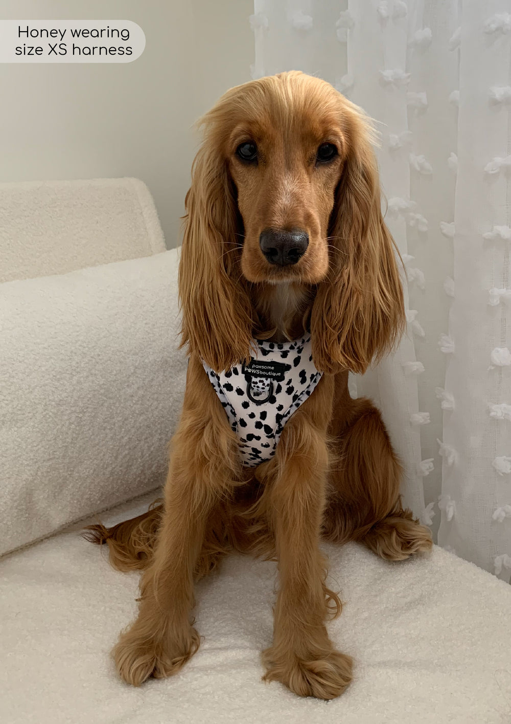 Adjustable Harness – Perdita