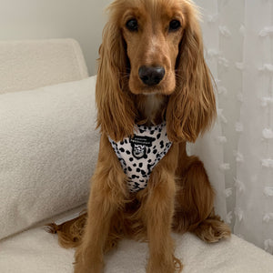 Adjustable Harness – Perdita