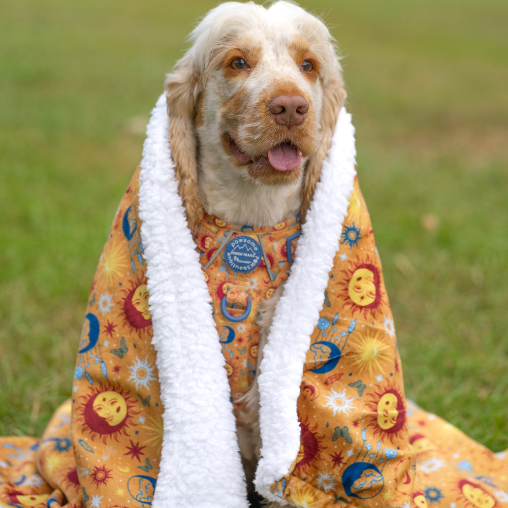 Dog Blanket - Celestial Spirit