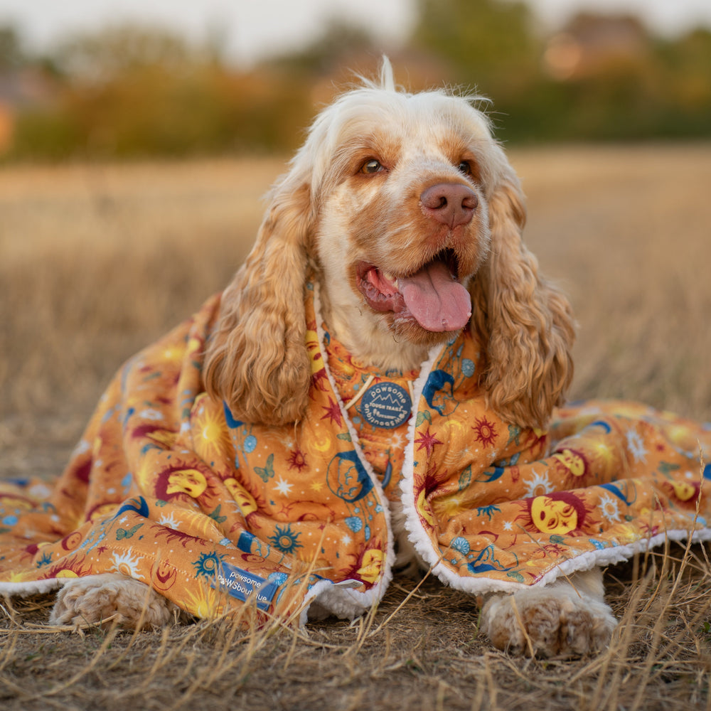 Dog Blanket - Celestial Spirit