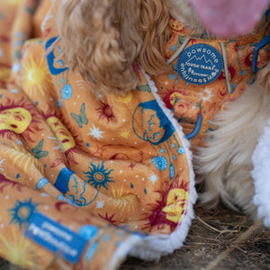 Dog Blanket - Celestial Spirit