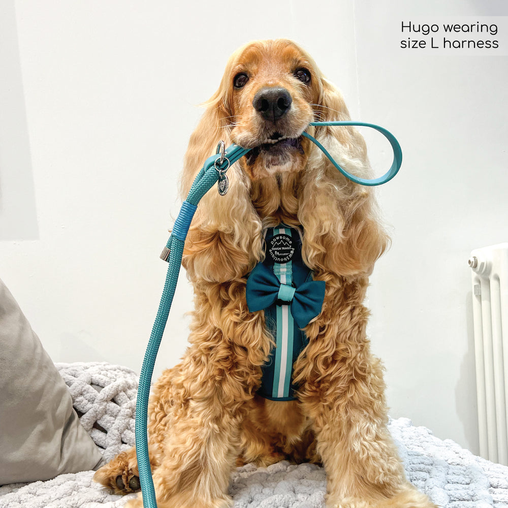 4ft Rope Lead - Teal