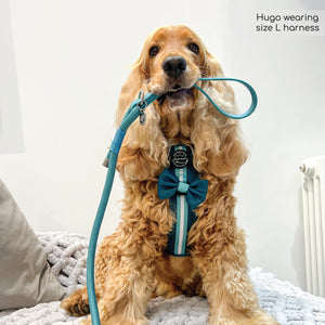 4ft Rope Lead - Teal
